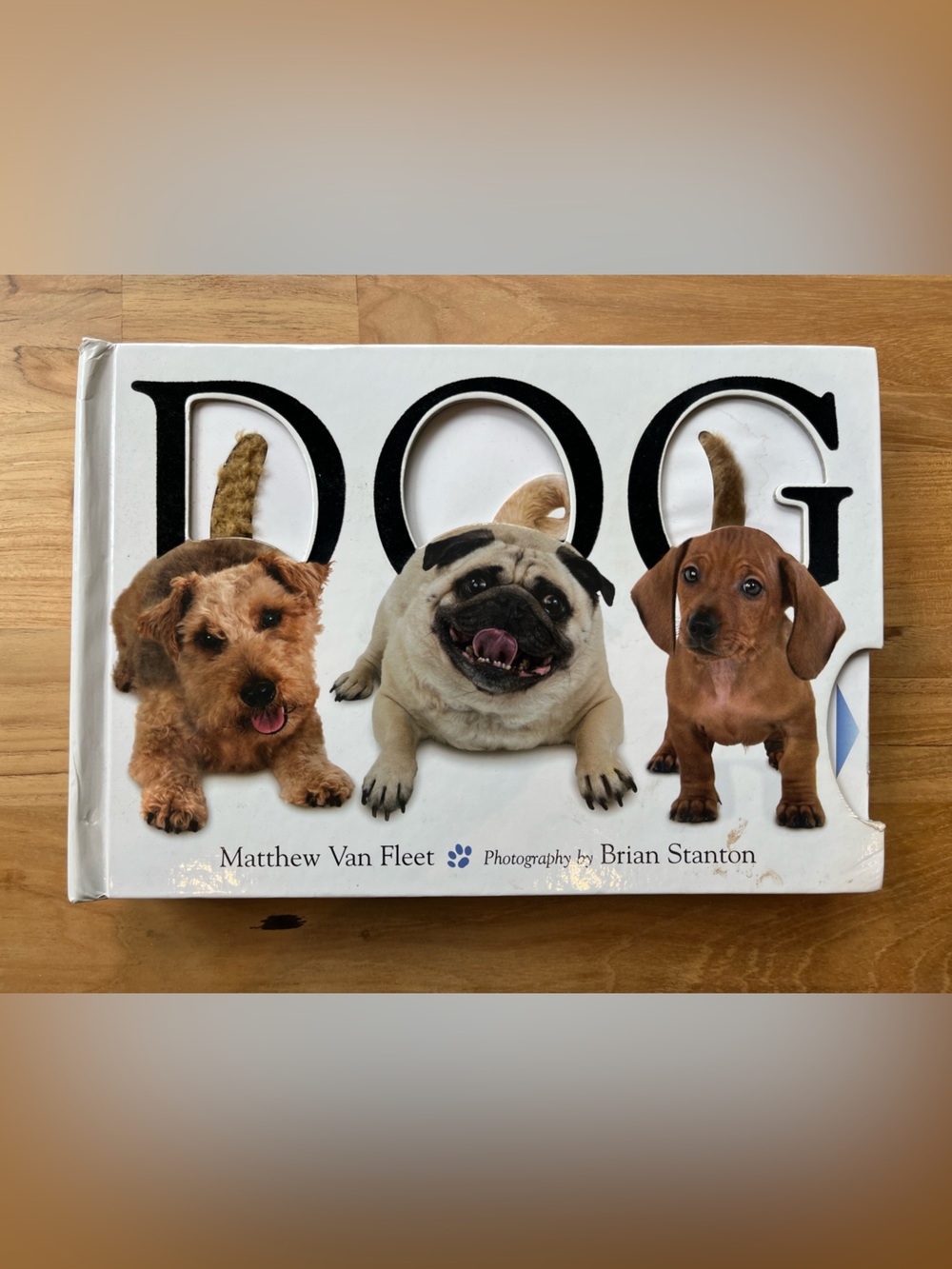Dog Hardcover Picture Book